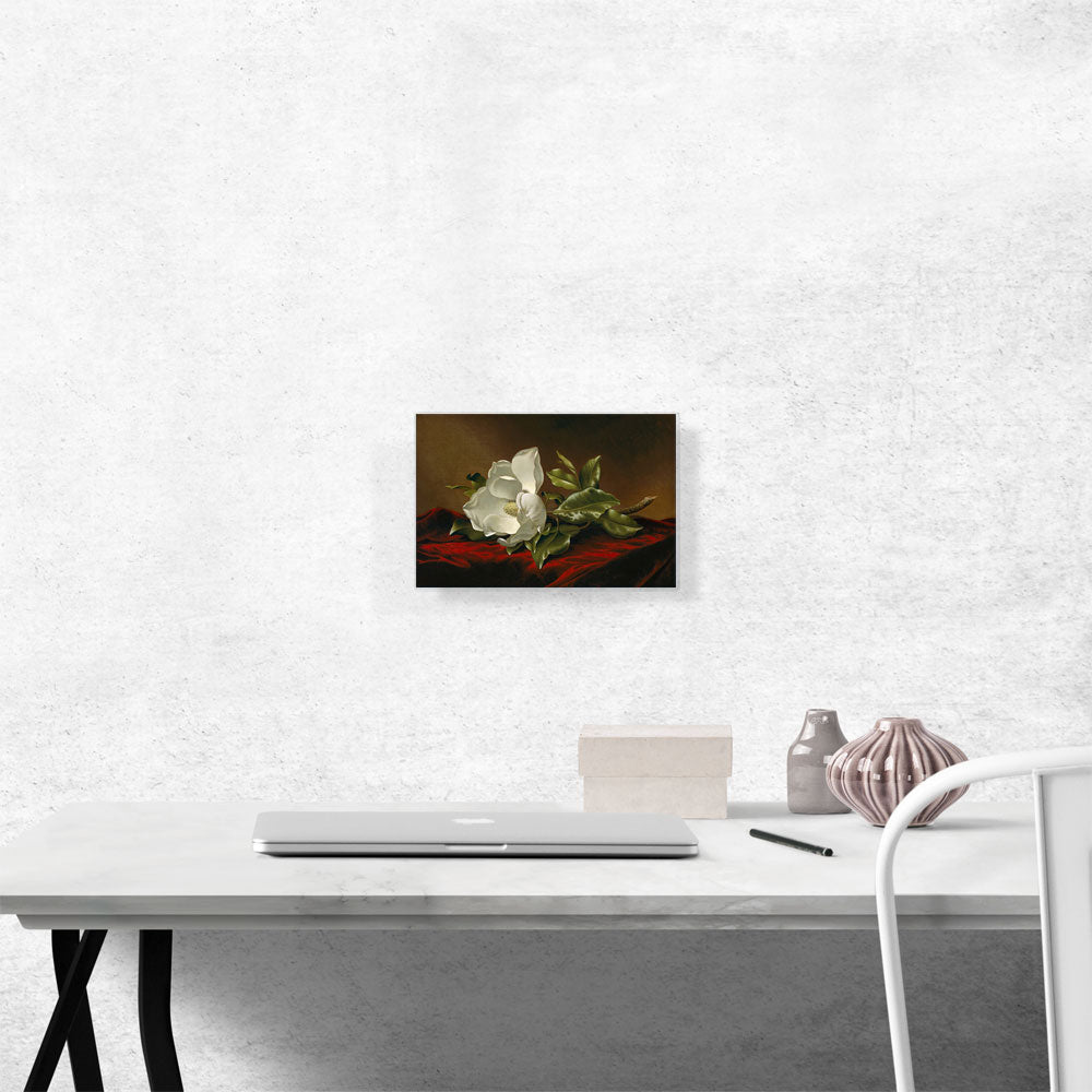 Velvet Bloom – Magnolia Still Life Canvas Print