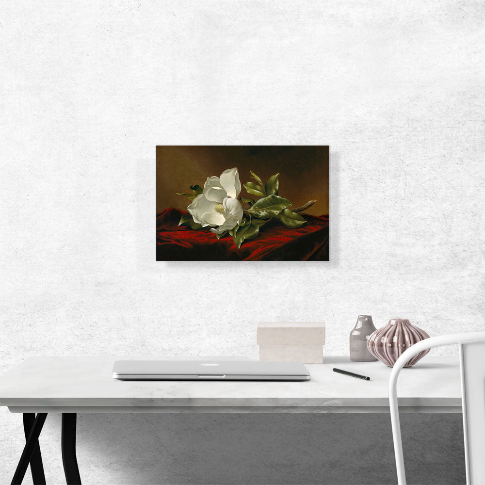 Velvet Bloom – Magnolia Still Life Canvas Print