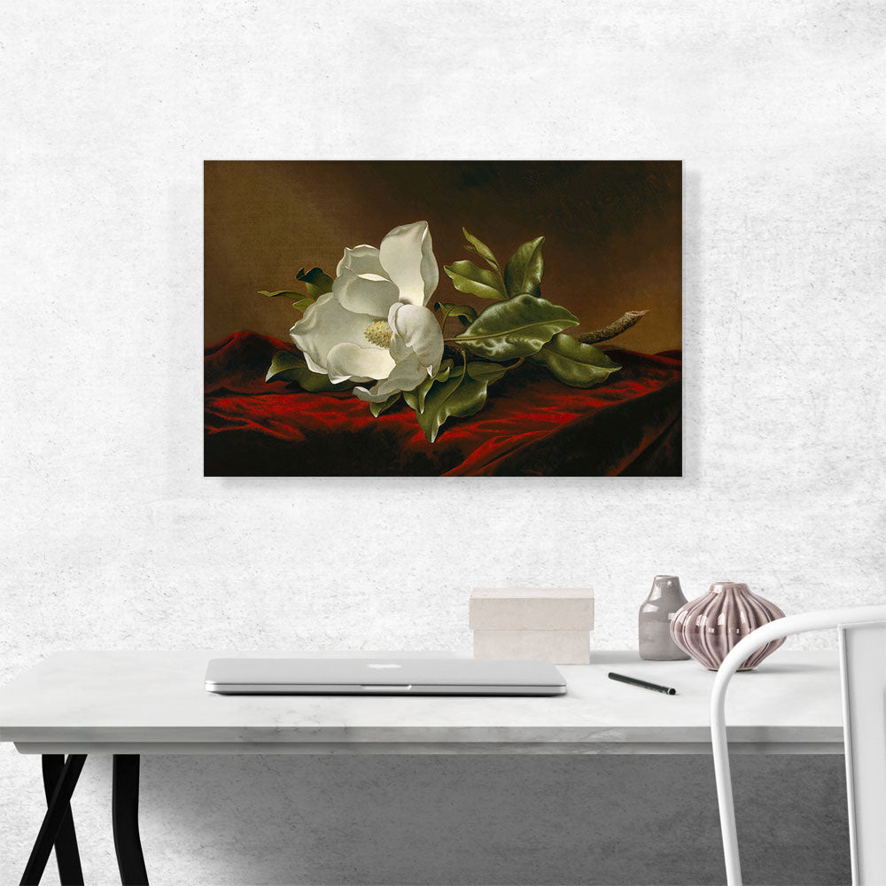Velvet Bloom – Magnolia Still Life Canvas Print