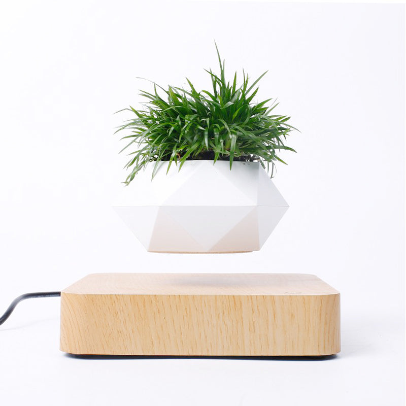 Orbit Bloom Magnetic Levitating Flower Pot