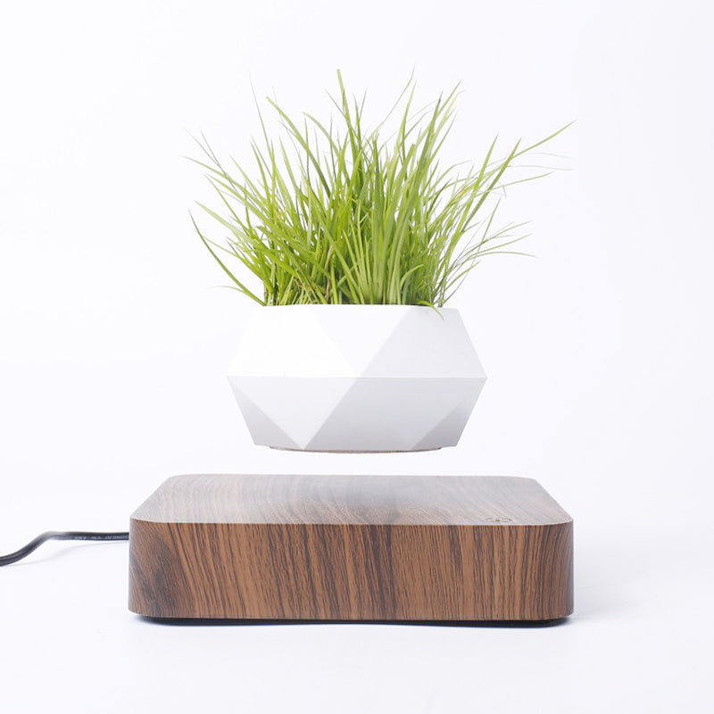 Orbit Bloom Magnetic Levitating Flower Pot